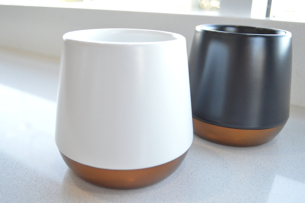 Fellow - Double Walled Ceramic Mug – Bold Bean Coffee Roasters